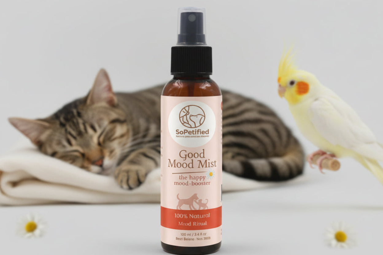 Good Mood Mist : Mood Ritual ( No More Fear)
