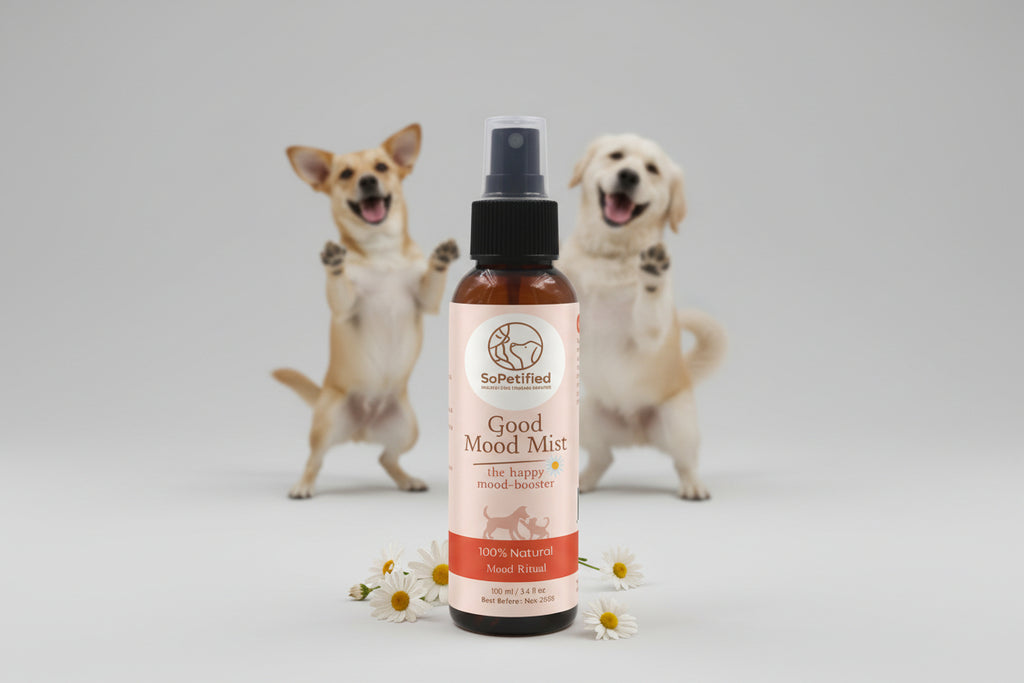 Good Mood Mist : Mood Ritual ( No More Fear)