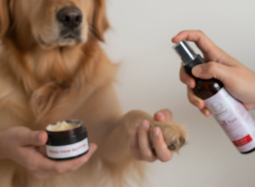 Paw Ritual Pack (Roughness No More)